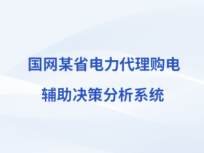 国网某省电力代理购电辅助决策分析系统