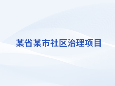 某省某市社区治理项目