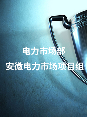 电力市场部 安徽电力市场项目组